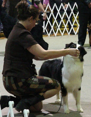 navaandlarapriceville11bisp.jpg