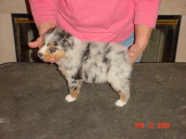 anattemptatstacking5weeks003.jpg