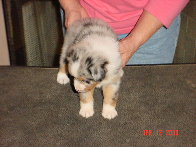 anattemptatstacking5weeks008.jpg