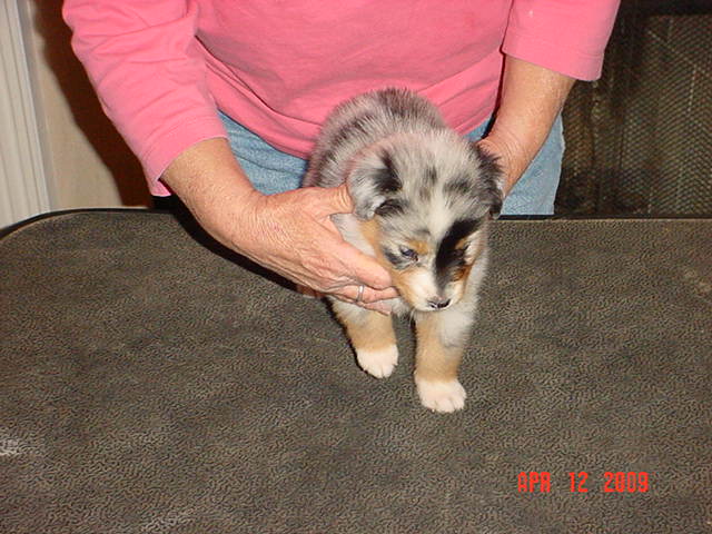 anattemptatstacking5weeks010.jpg