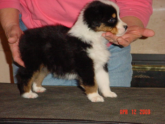 anattemptatstacking5weeks018.jpg