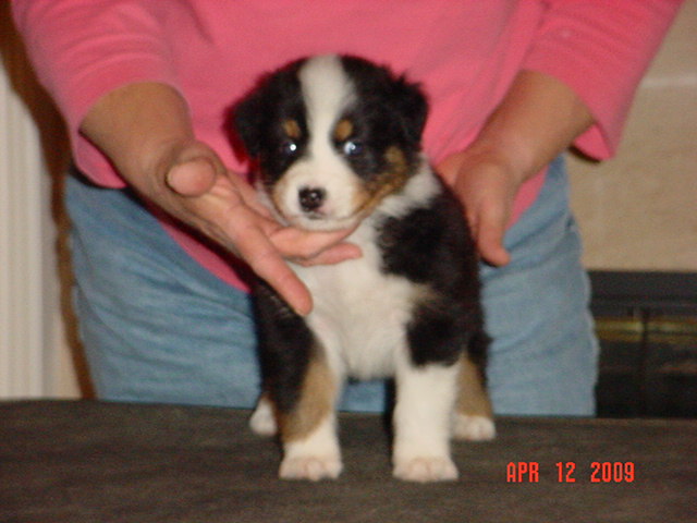 anattemptatstacking5weeks019.jpg