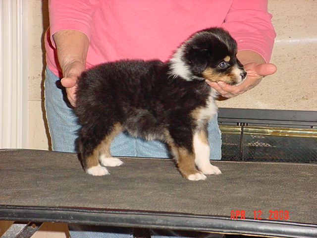 anattemptatstacking5weeks029.jpg