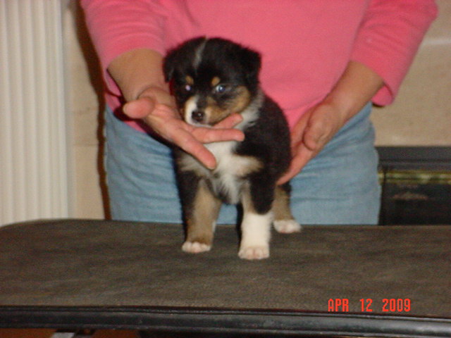 anattemptatstacking5weeks031.jpg