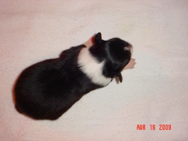 blackgirl3162009004.jpg