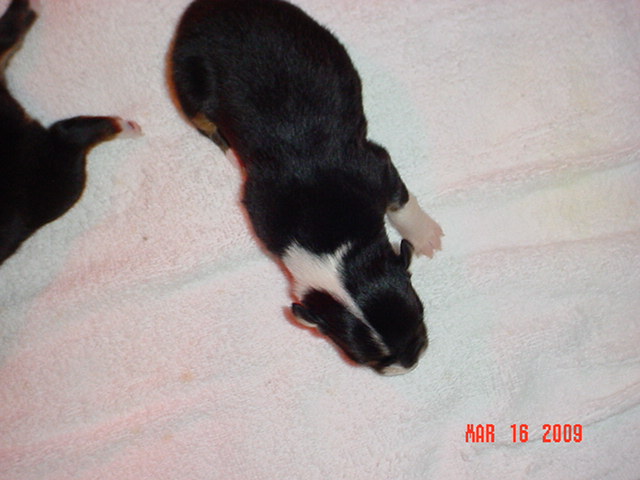blackgirl3162009023.jpg