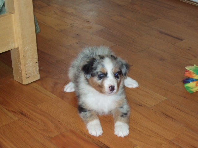dscf4128.jpg