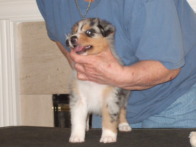 dscf4167.jpg
