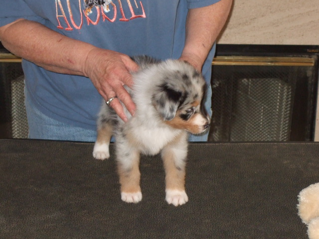 dscf4175.jpg
