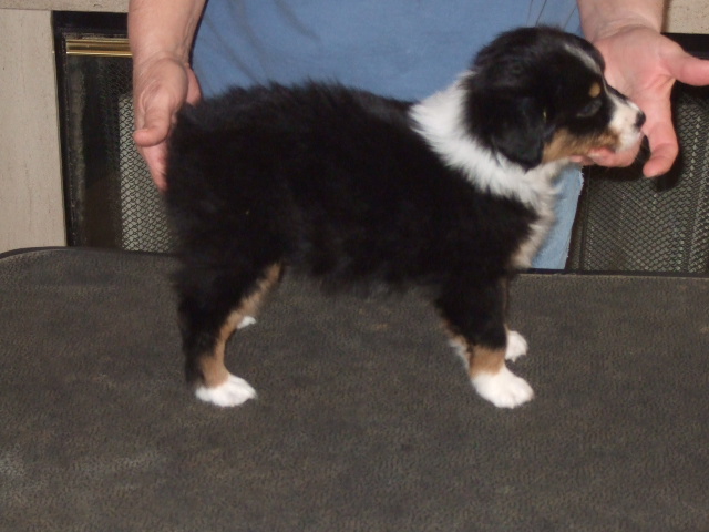 dscf4180.jpg