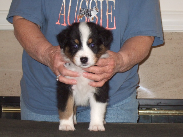 dscf4198.jpg