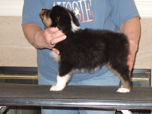 dscf4218.jpg