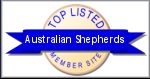 australianshepherds.toplisted.net_1.jpg